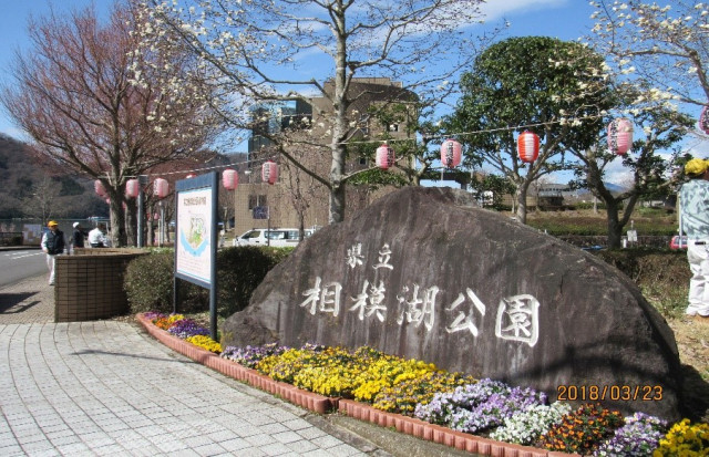 県立　相模湖公園